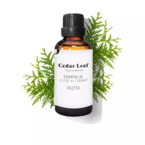 CEDAR LEAF essential oil Hương trị liệu chính hãng Daffoil