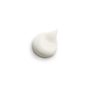 Sisley ALL DAY ALL YEAR soin essentiel de jour anti-âge Kem chống lão hóa & điều trị chống nhăn