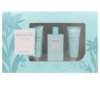 Nước hoa AMICHI SENSUAL FLOWER LOT Eau de Toilette (Nữ) chính hãng Amichi