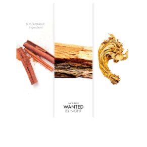 Nước hoa Azzaro WANTED BY NIGHT Eau de Parfum (Nam)