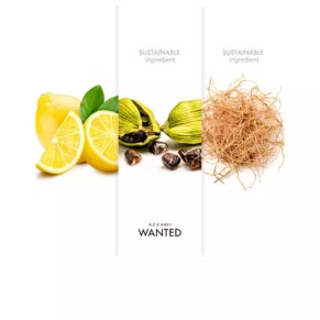 Nước hoa Azzaro WANTED HOMME Eau de Toilette (Nam)