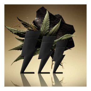 Carolina Herrera BAD BOY Eau de Parfum (Nam)
