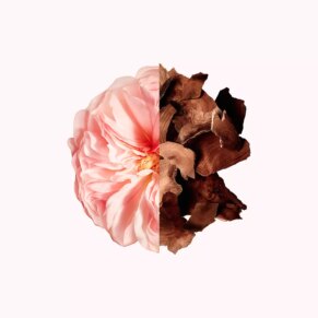 IRRESISTIBLE hair mist Hair perfume (Nữ) 8 Givenchy IRRESISTIBLE hair mist Hair perfume (Nữ)