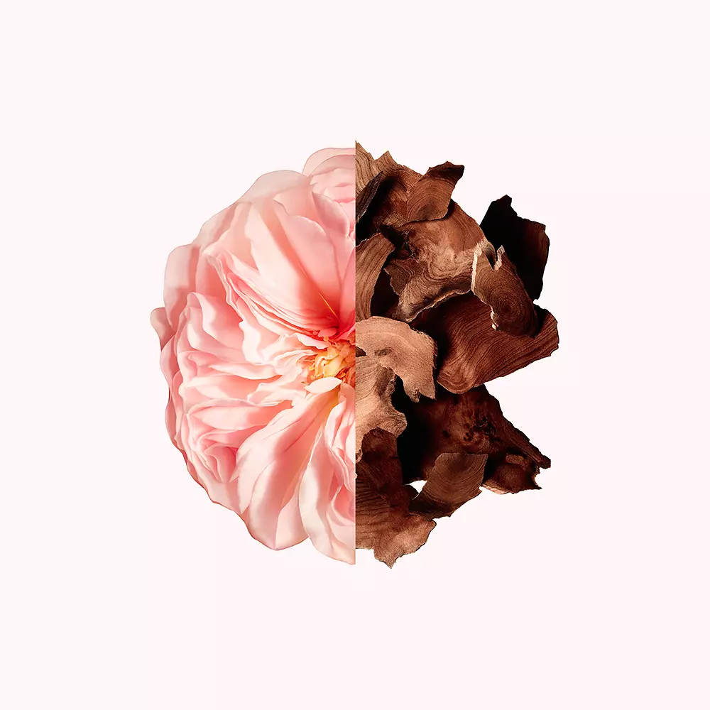 IRRESISTIBLE hair mist Hair perfume (Nữ) 3 Givenchy IRRESISTIBLE hair mist Hair perfume (Nữ)