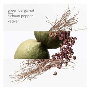 HERMÈS TERRE D'HERMÈS EAU INTENSE VÉTIVER Eau de Parfum (Nam)