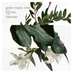 HERMÈS UN JARDIN EN MEDITERRANEE Eau de Toilette (Unisex)