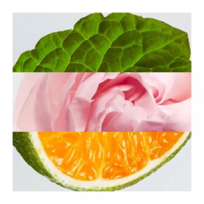 Nước hoa Lacoste EAU DE LACOSTE L.12.12 ROSE POUR ELLE Eau de Parfum (Nữ)