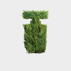 Tommy Hilfiger IMPACT Eau de Toilette (Nam)