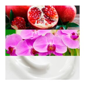 EUPHORIA Eau de Parfum (Nữ) 27 Calvin Klein Euphoria Eau De Parfum Spray 30 ml 0088300162567