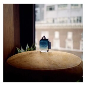 COACH BLUE Eau de Toilette (Nam) 17 Coach Coach Blue Eau De Toilette Spray 60 ml 3386460113748