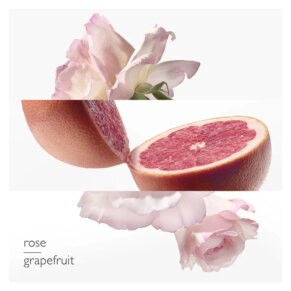 Eau De Pamplemousse Rose Eau De Cologne Spray 100 ml chính hãng Hermès 3346130491736