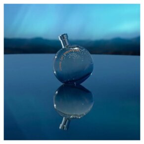 Hermès L'Ombre Des Merveilles Eau De Parfum Spray 50 ml 3346131797097