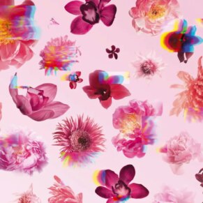 Viktor & Rolf FLOWERBOMB Eau de Parfum (Nữ)