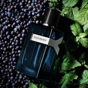 Yves Saint Laurent Y INTENSE Eau de Parfum (Nam)
